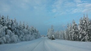 20160203_120150_resized_1