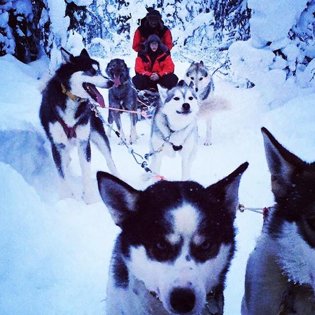 Informatie over Expeditie Noordkaap, 8 daagse tourtocht, puur avontuur!